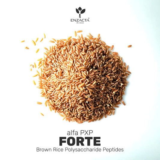 2025 PXP FORTE FOR EVERYONE!